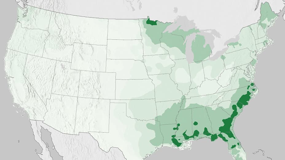 Thematic map of the US in varying shades of green with the darkest colors in the southeastern portion of the country