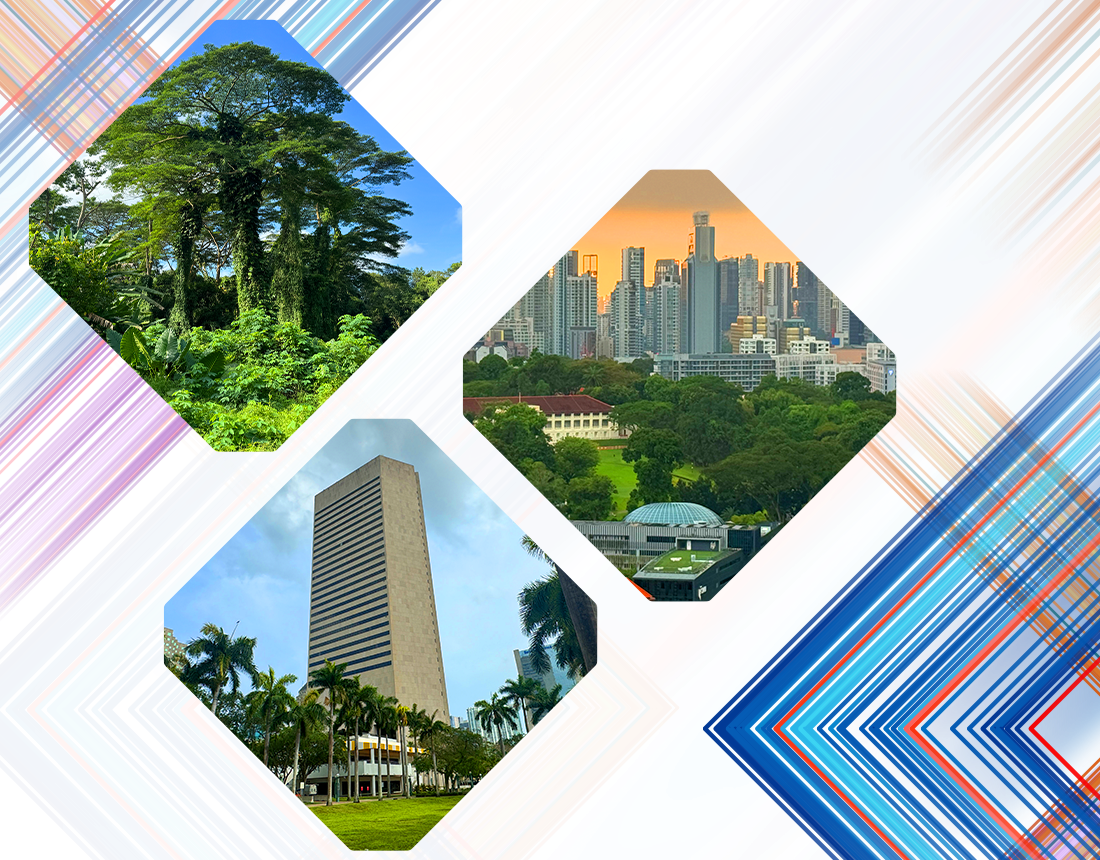 Three scenes showing a lush jungle with diverse foliage and trees, a dense urban skyline, and a skyscraper surrounded by palm trees