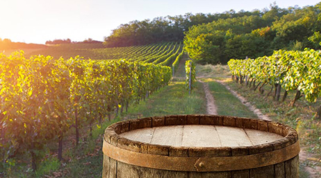 A wooden wine barrel with a robust vineyard in the background
