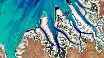 An aerial landsat view of a bay with several tributaries taken with in vivid blue, green, and brown
