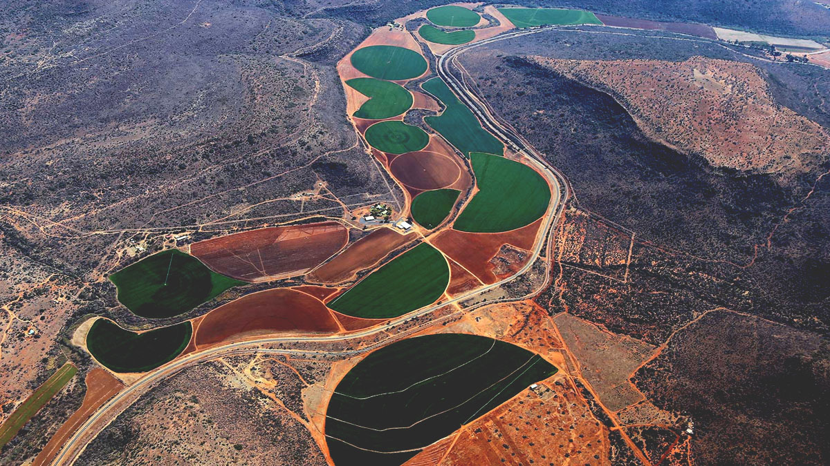 オフナディア衛星画像に、台地の間の乾燥地域を曲がりくねって進む、円形および半円形の野原から成る細長いエリアが表示されている