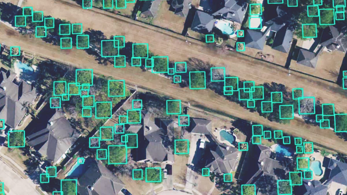 주택가 인접 영역의 드론 영상 분석을 통해 초록색 상자로 식별되는 나무 수를 계산하기 이미지