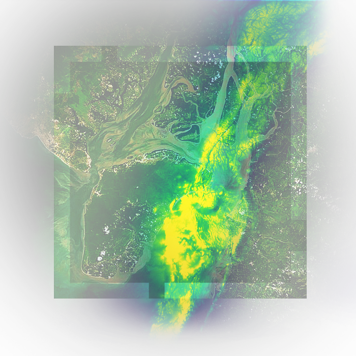 Image satellite d’une rivière menant à un littoral avec des nuances de vert et de jaune mettant en évidence les données de terrain