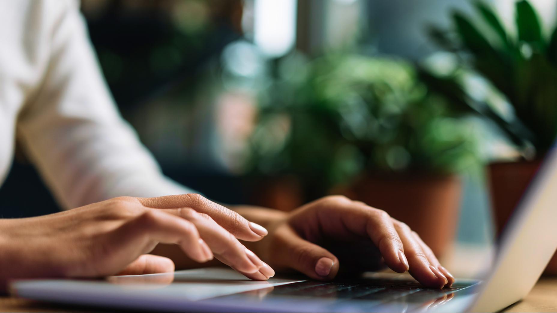 Close-up view of hands typing on a laptop keyboard with green potted plants in the background