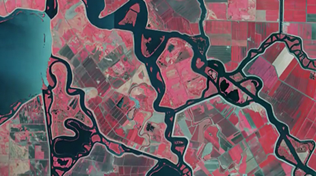 The view from a satellite of the Sacramento-San Joaquin river delta in California with water highlighted in black and vegetation highlighted in pink overlaid with a play button