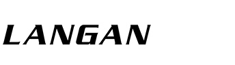 Logotyp firmy Langan Engineering & Environmental Services