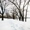 A landscape with snow-covered ground and bare trees