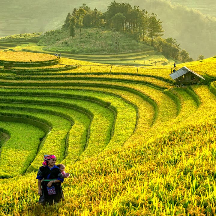 Vista of green terraced fields with a house, a stand of trees on a hilltop, and a woman carrying a child on her back