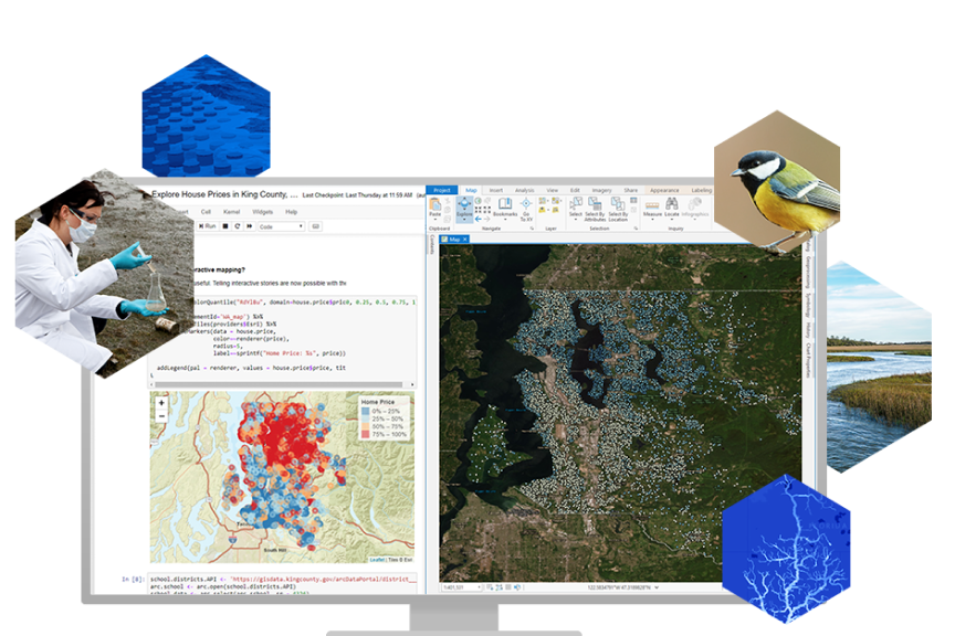 Uma área de trabalho de computador exibindo duas janelas com mapas e códigos de computador sobrepostos com imagens de um pesquisador, um pássaro e outros elementos gráficos