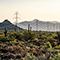 A desert vista full of native scrub and cacti with a row of utility towers stretching into the distance connected by hanging power lines 