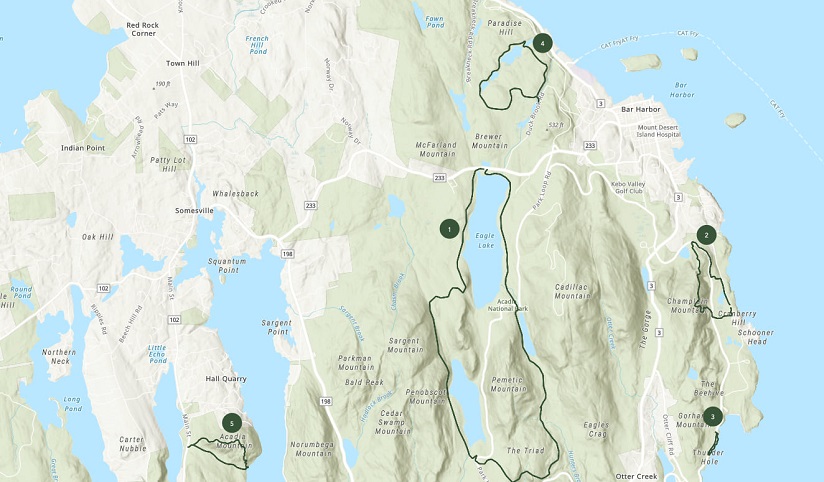 A white and green shaded topo map surrounded by water with five green locator pins inserted