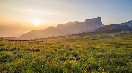 Eine grüne Wiese mit Bergen in der Ferne, die in goldenes Licht getaucht sind