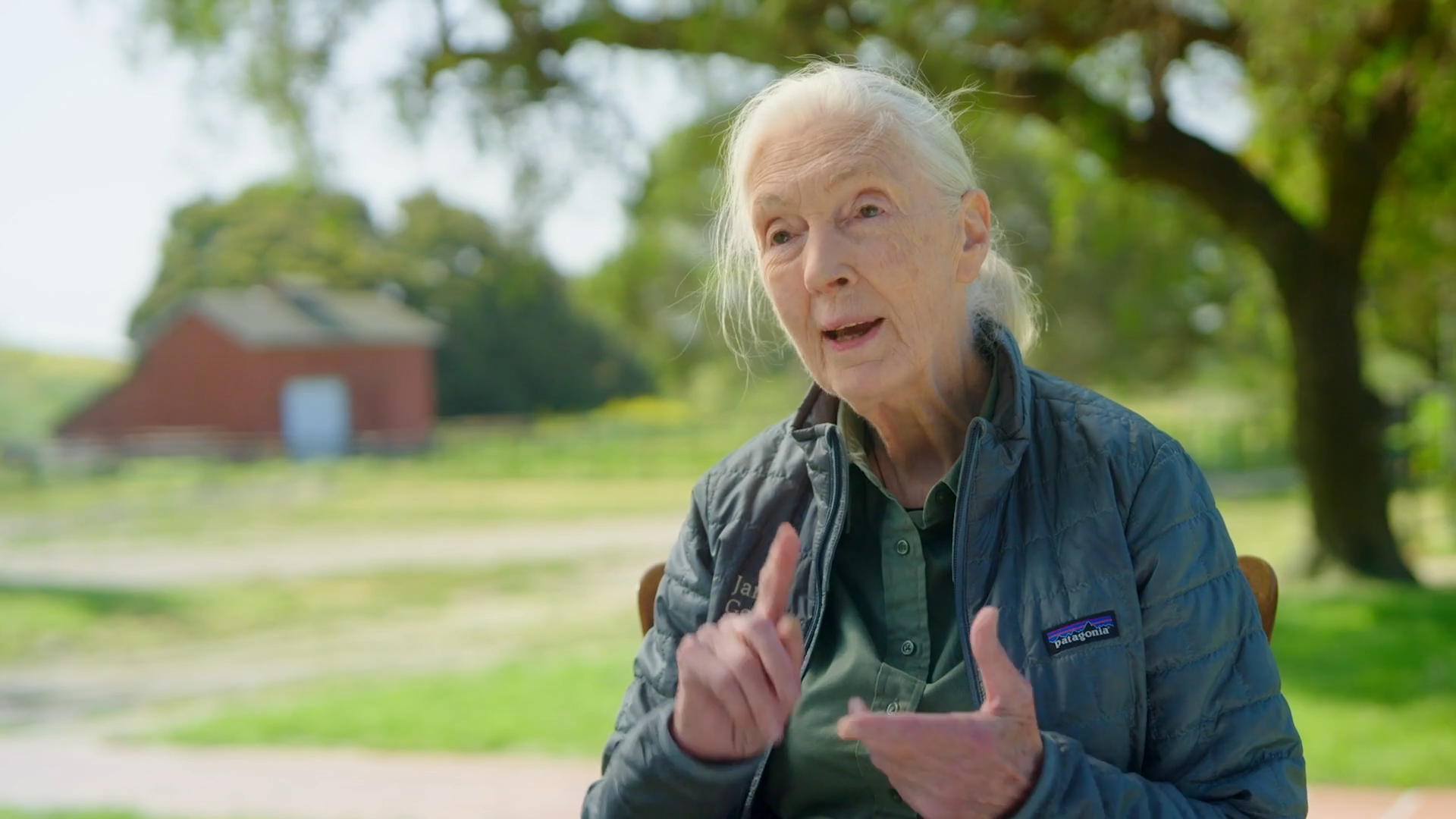  Jane Goodall wearing a green shirt and jacket, seated in a sunlit meadow gesturing as she speaks to an unseen person