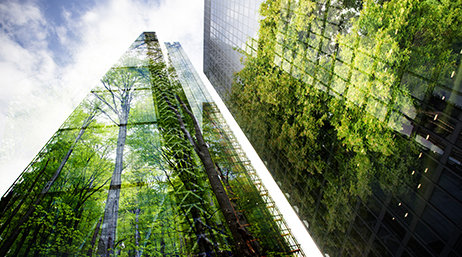 Towering skyscrapers overlaid with images of lush green trees