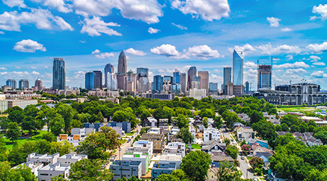 Aerial view of a tree-filled suburb stretching into the distance where a sprawling modern city stretches across the horizon under a bright blue sky 