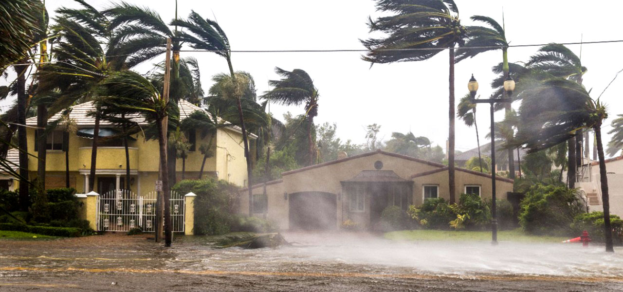 照片中显示了一条被水淹没的街道上的大地色调的灰泥房屋，周围环绕着强风吹拂的绿色棕榈树
