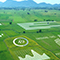 Aerial image of a sprawling green tree-dotted pasture, overlaid with a layer of related charts and icons