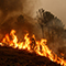 A sheet of tall flames marching up a brush-covered hillside as dark smoke obscures the view beyond