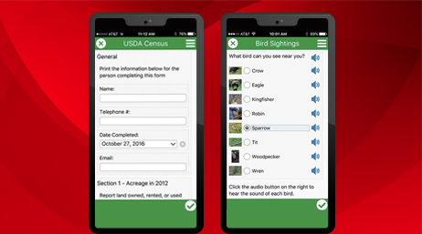 Zwei Mobiltelefone mit "USDA Census"- und "Bird Sighting"-Bildschirmen, mit denen ArcGIS Survey vorgeführt wird 