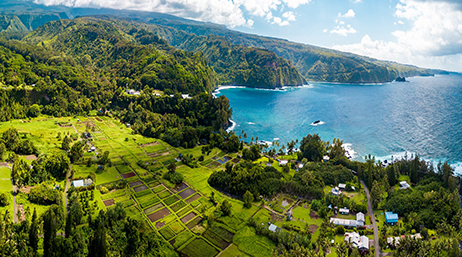 A coastal village surrounded by lush, green foliage and crystal blue water
