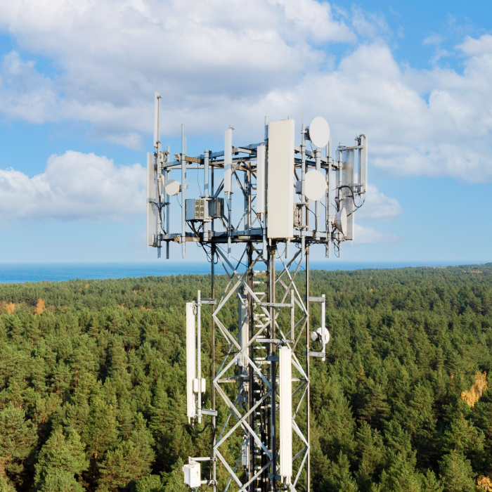 A cell phone tower standing tall among the trees in a lush forest.