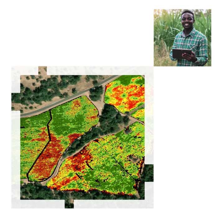 A red, yellow, and green heat map of an empty tree-dotted field and a smaller image of a smiling man in a field of tall crops holding a tablet on a background of terraced cropland