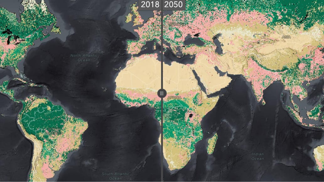 A slider map of Africa in shades of peach, pink, and green with dark gray oceans