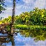 A body of still water reflecting the blue sky and surrounded by lush, green foliage 