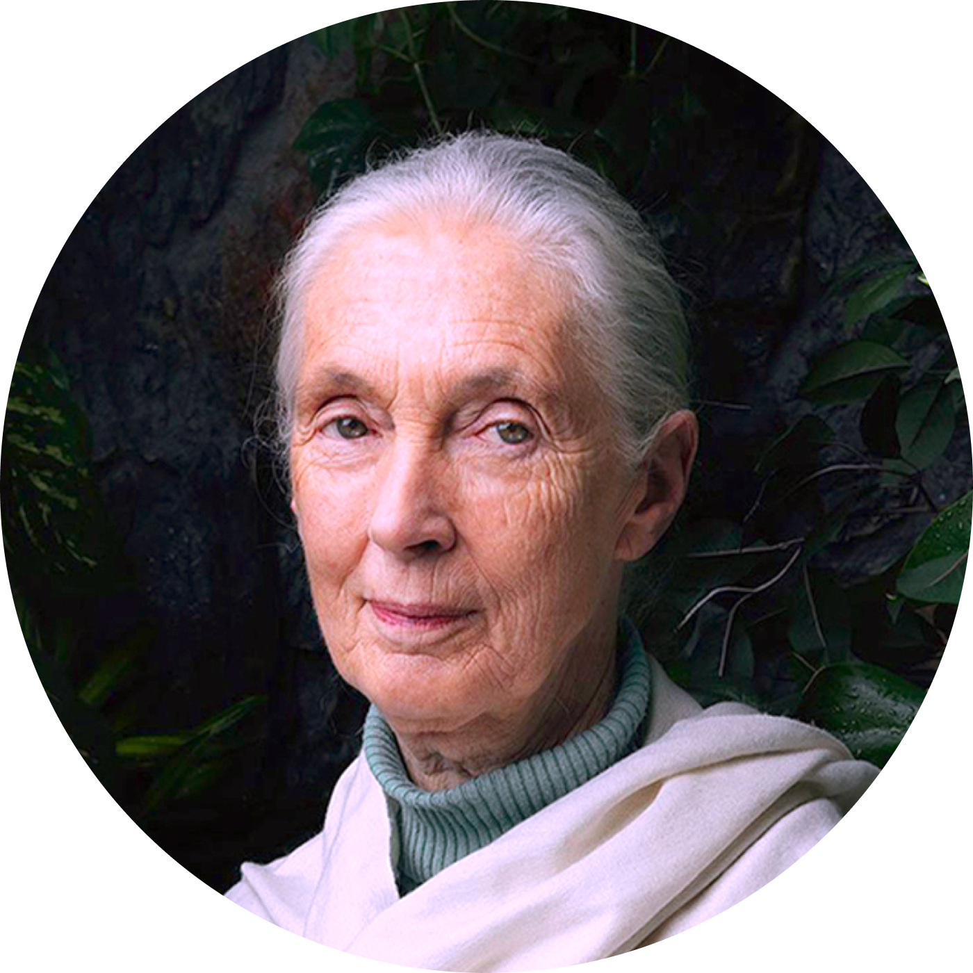 Portrait of Jane Goodall