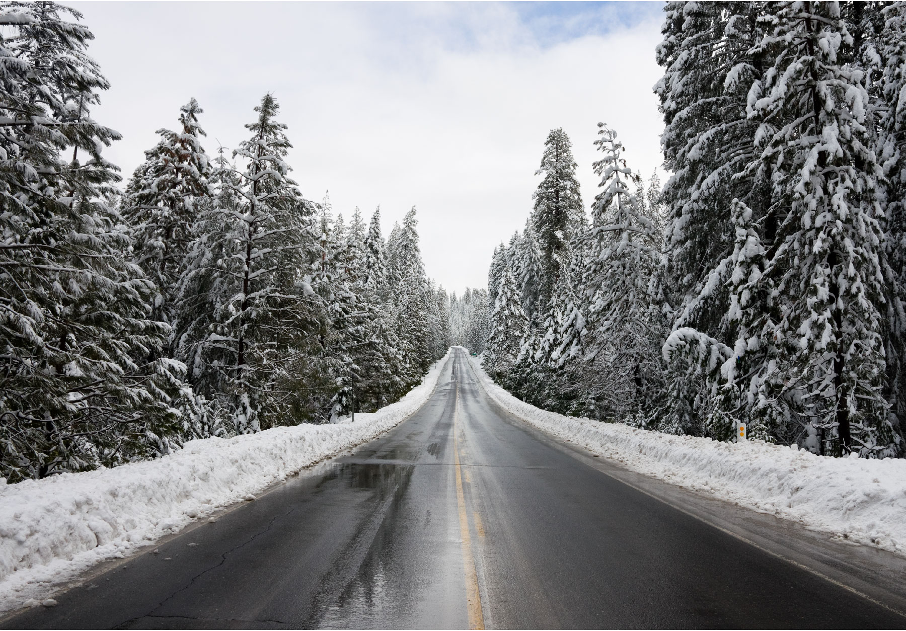 A dark icy road cutting through a forest of towering snow-laden pine trees with deep snowbanks on both sides under a pale winter sky