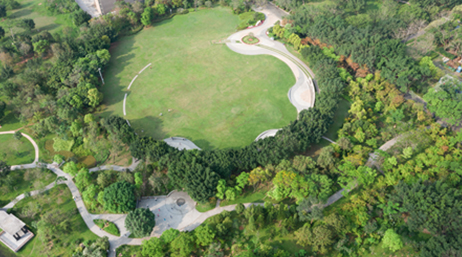 An aerial view of a thickly wooded green park with a large clearing in the center