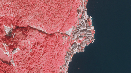 粉色阴影下的森林海岸地区的红外遥感图像，海岸线上有成群的灰色建筑物 
