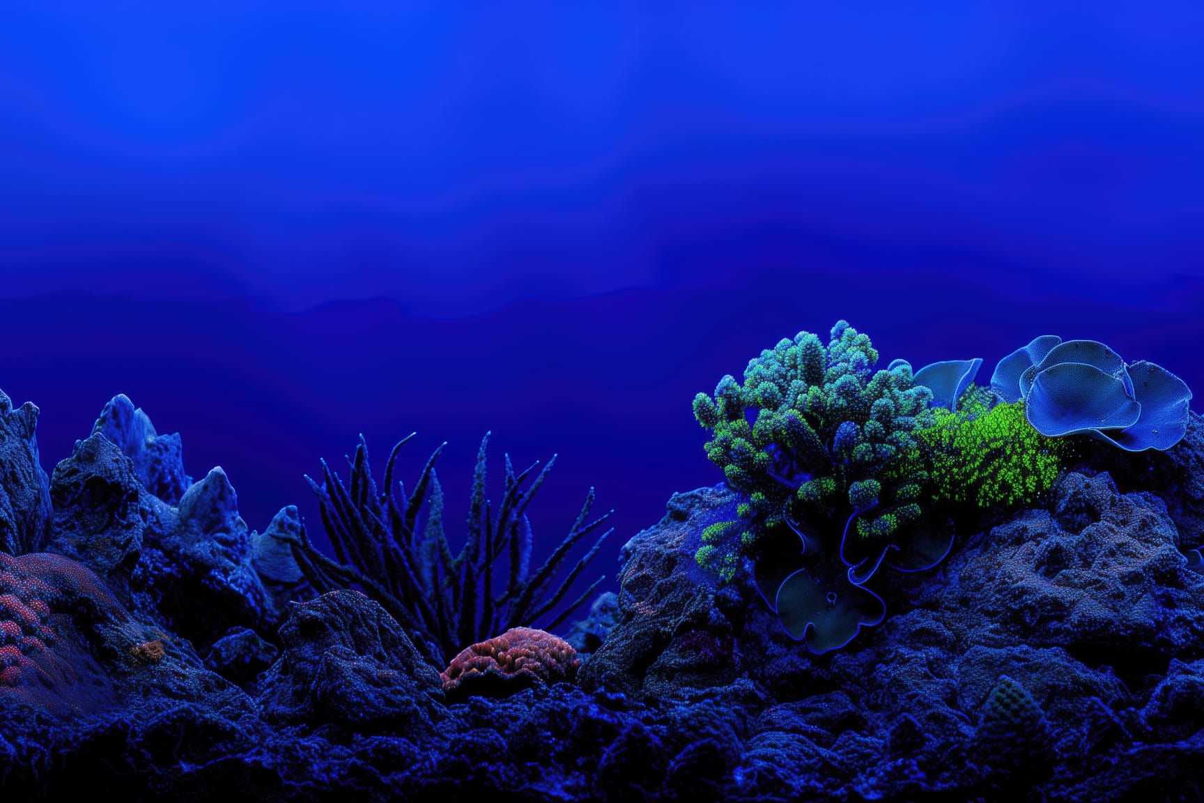 Image of a vibrant coral reef, illuminated by an underwater blue hue. The corals showcase a spectrum of colors, from verdant greens to tranquil blues and vivid reds. The backdrop of the deep blue sea accentuates the scene. 