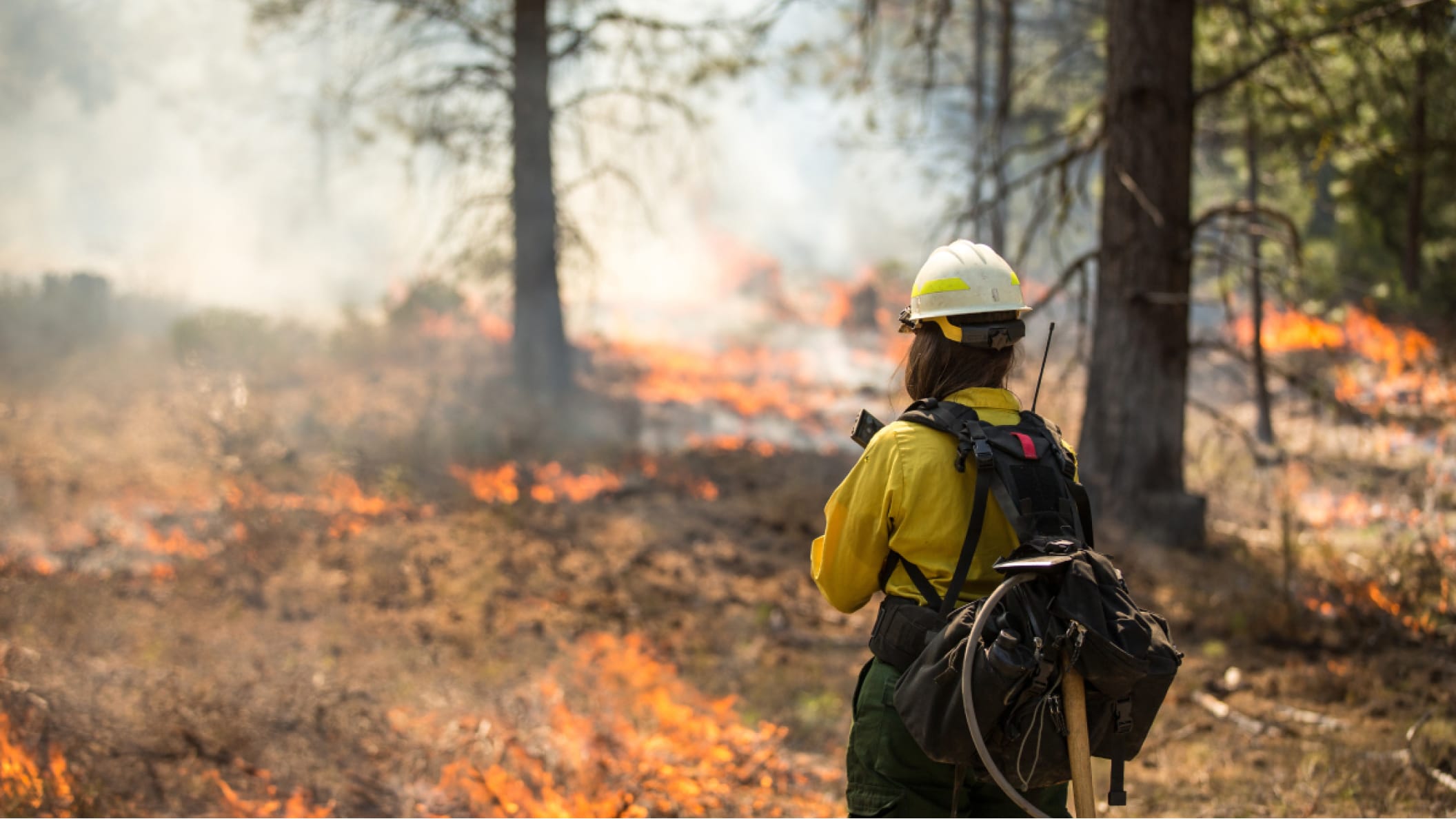 Mobile worker holding a tablet inspecting a forest fire 