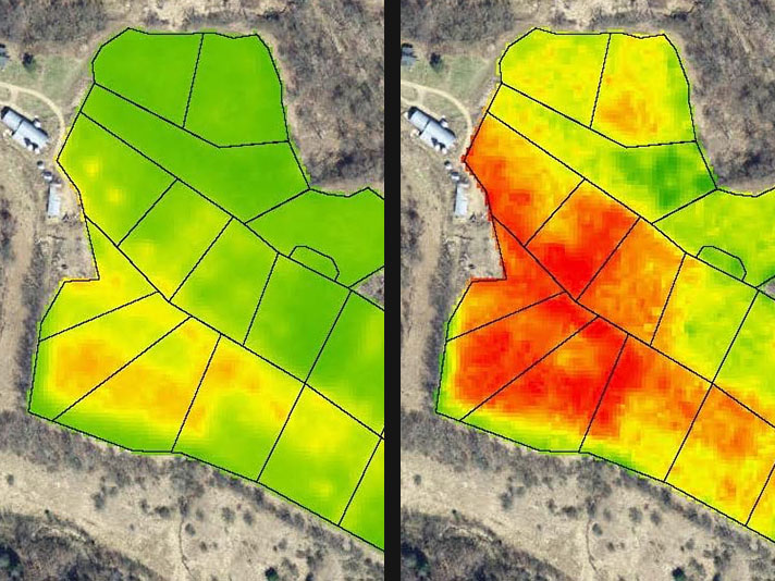 Imagem cortesia de Organic Valley mostra uma vista aérea de pastagens, sobrepostas com camadas coloridas que quantificam a saúde da vegetação, com as plantas mais saudáveis ​​mostradas em verde e as plantas em estresse e doenças em vermelho.